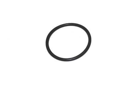 O-Ring Achsaufnahme PX Lusso (20mm)