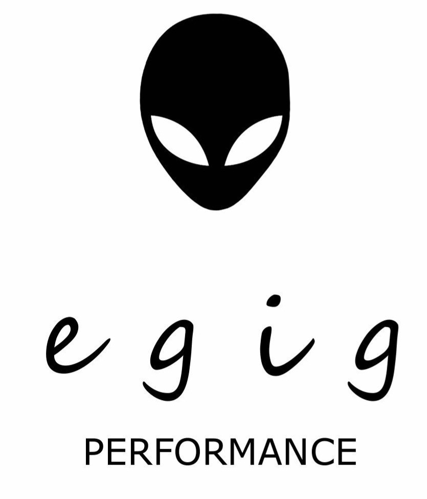 Egig Performance
