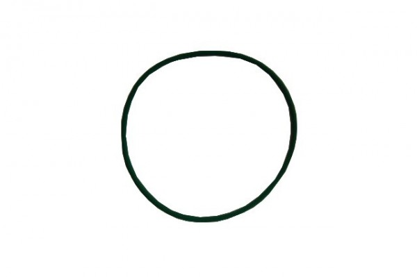 O-Ring für Zylinderkopf